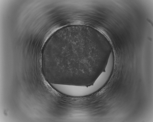 X0000102241000200808221326