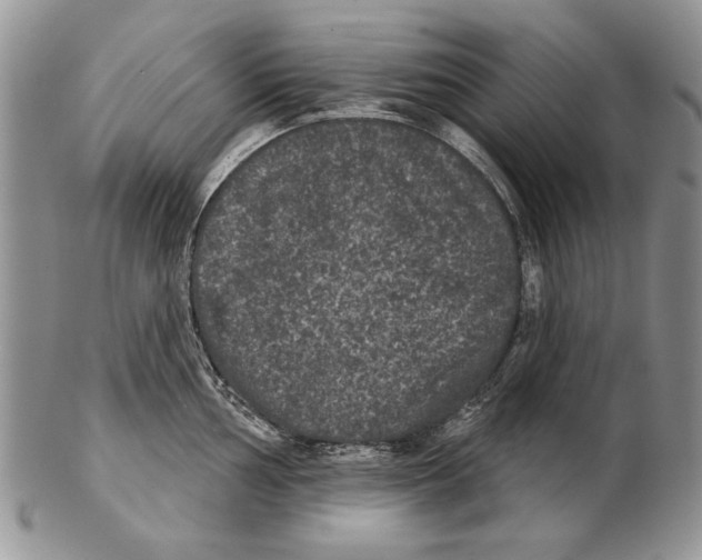 X0000102241002200808221326