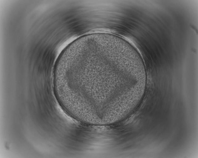 X0000102241003200808221326