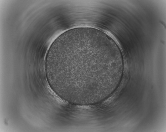 X0000102241004200808221326