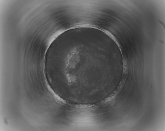 X0000102241005200808221326