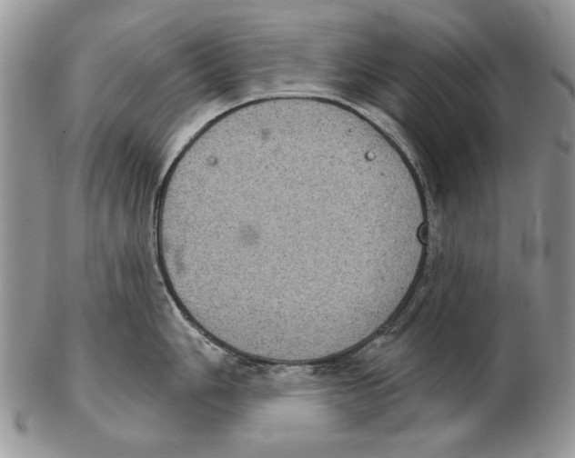 X0000102241006200808221326