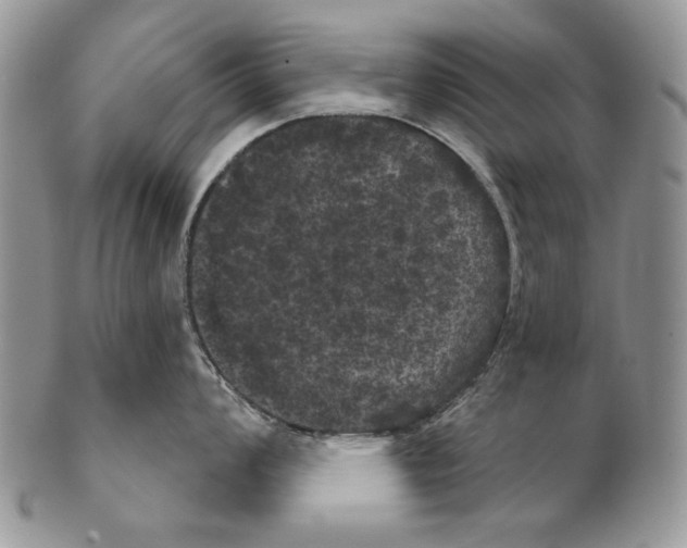 X0000102241008200808221326