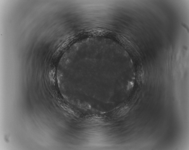 X0000102241010200808221325