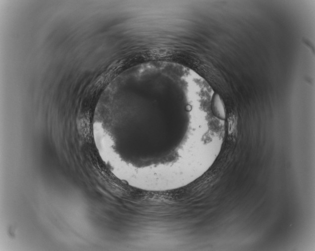 X0000102241011200808221325