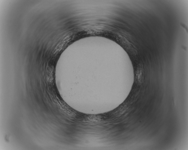 X0000102241012200808221325