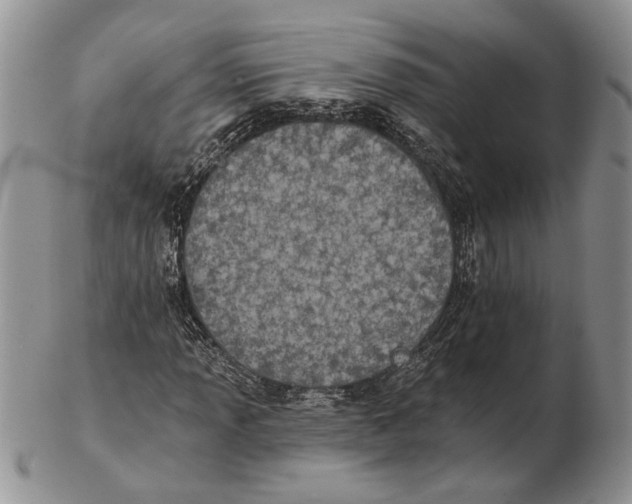 X0000102241013200808221325