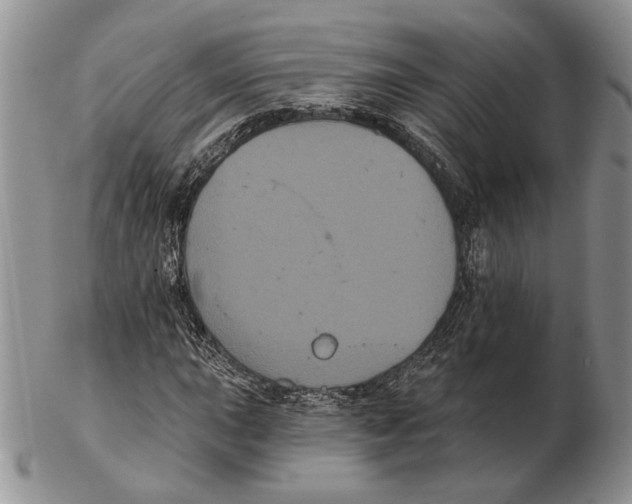 X0000102241015200808221325