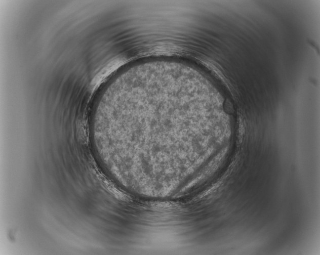 X0000102241018200808221325