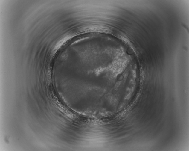 X0000102241019200808221325