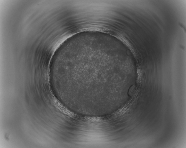 X0000102241020200808221325