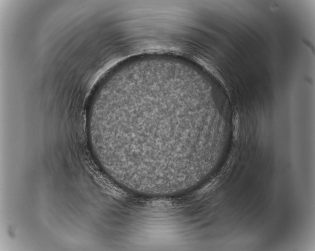 X0000102241021200808221325