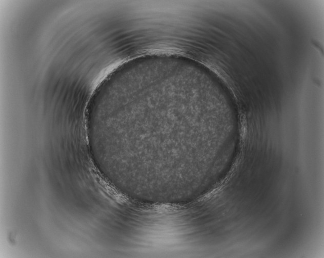 X0000102241022200808221325