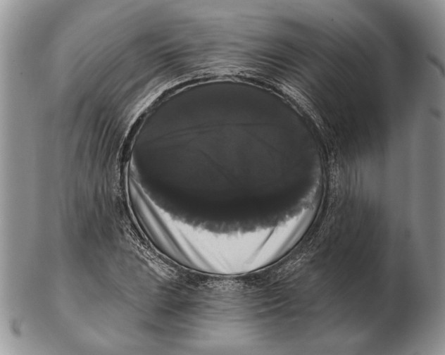 X0000102241023200808221325