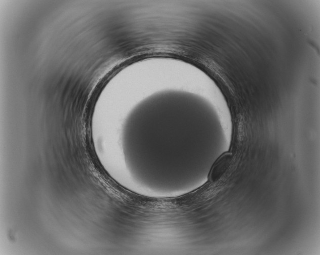 X0000102241024200808221325