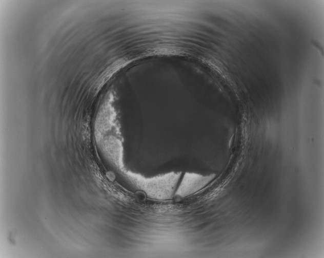 X0000102241025200808221325