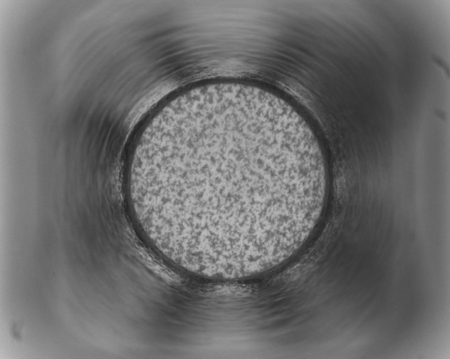 X0000102241026200808221325