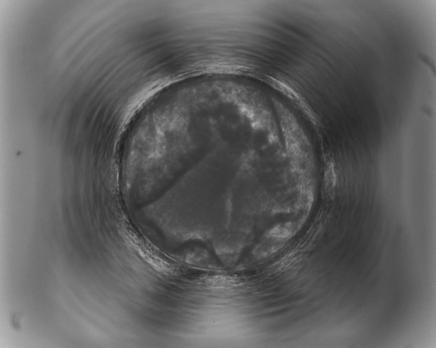 X0000102241027200808221326