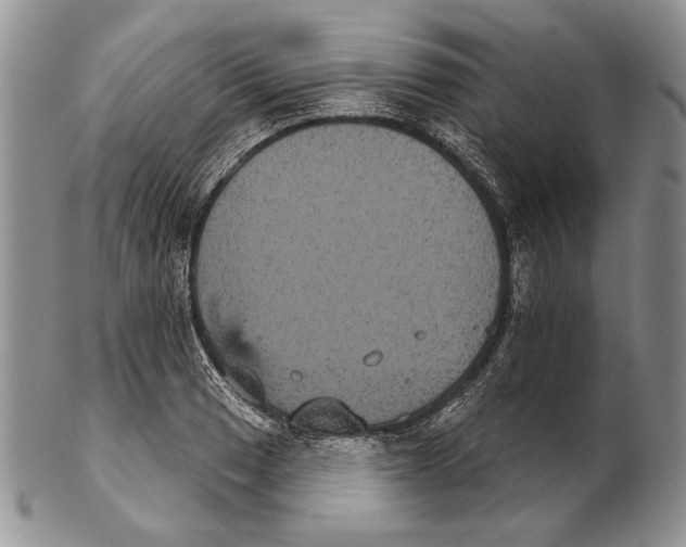 X0000102241033200808221326