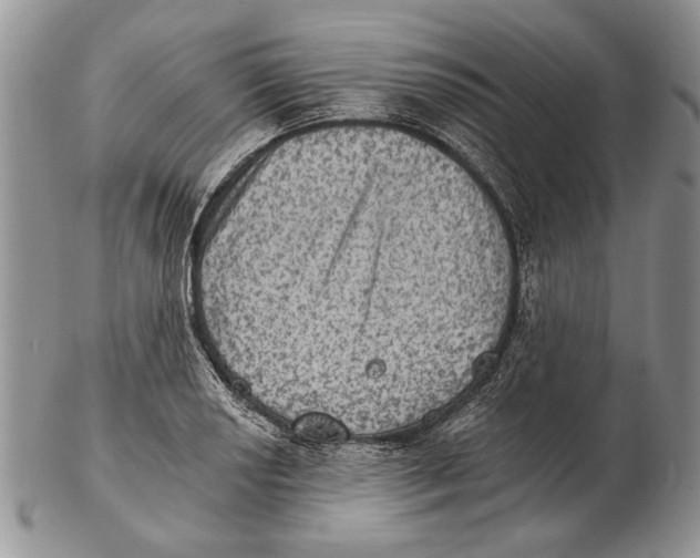 X0000102241034200808221326