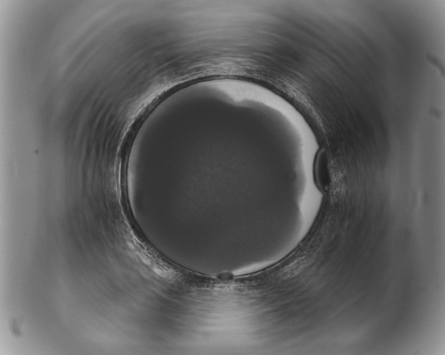 X0000102241035200808221326