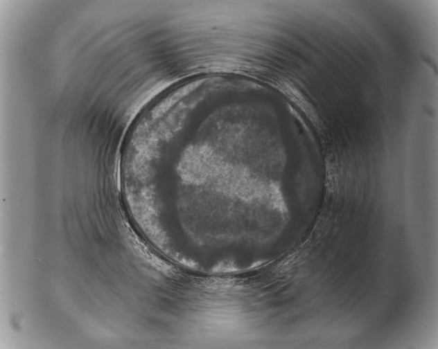 X0000102241036200808221326