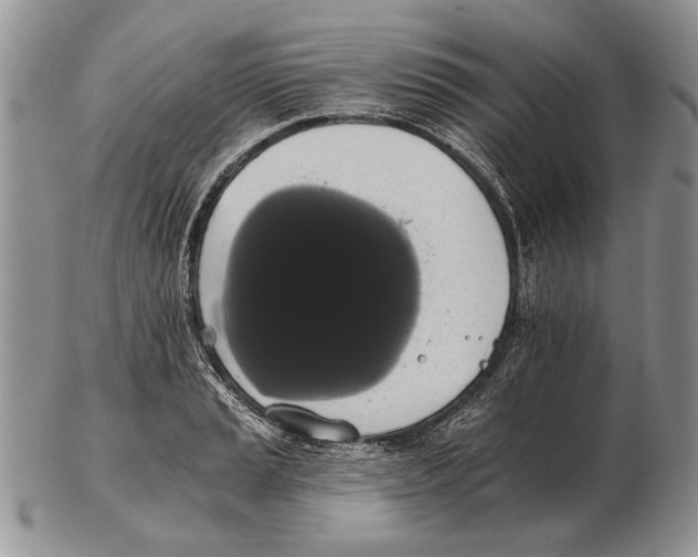 X0000102241037200808221326