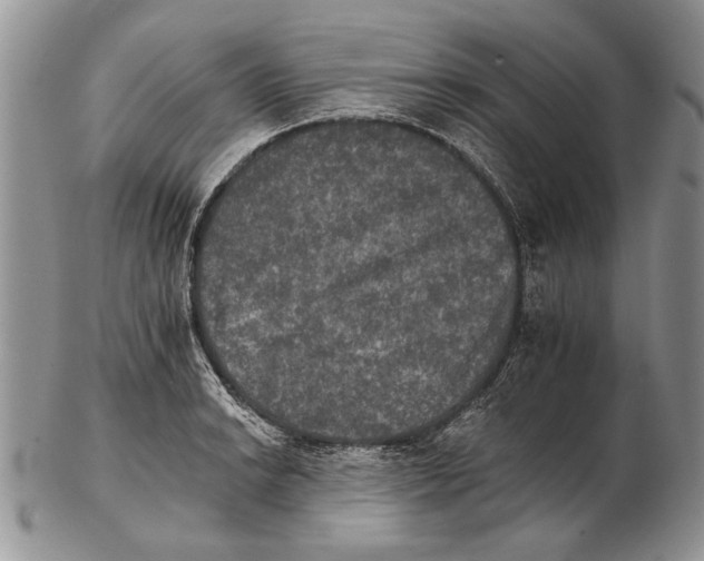 X0000102241038200808221326