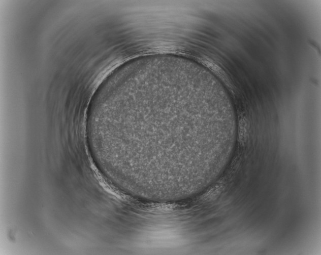 X0000102241039200808221326