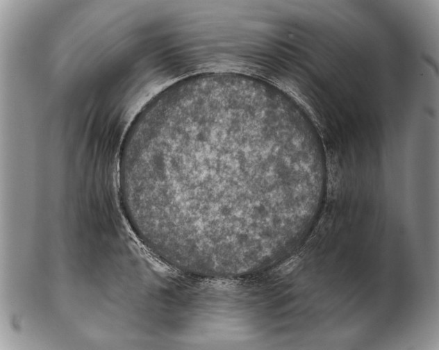 X0000102241040200808221326