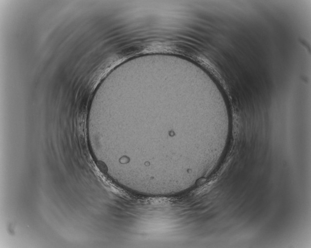 X0000102241041200808221326