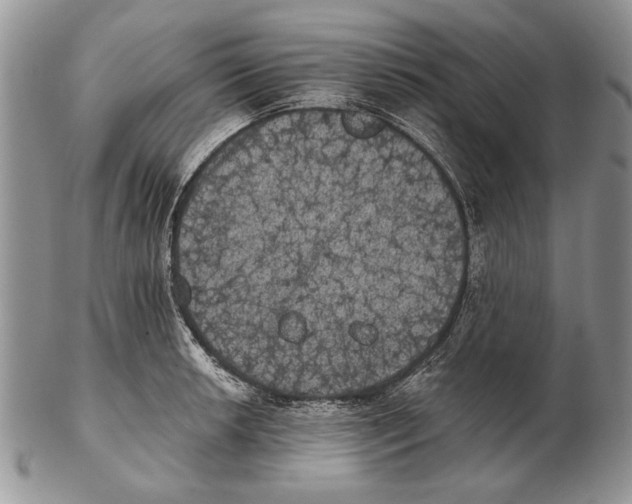 X0000102241042200808221326