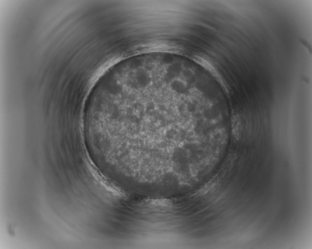 X0000102241043200808221326