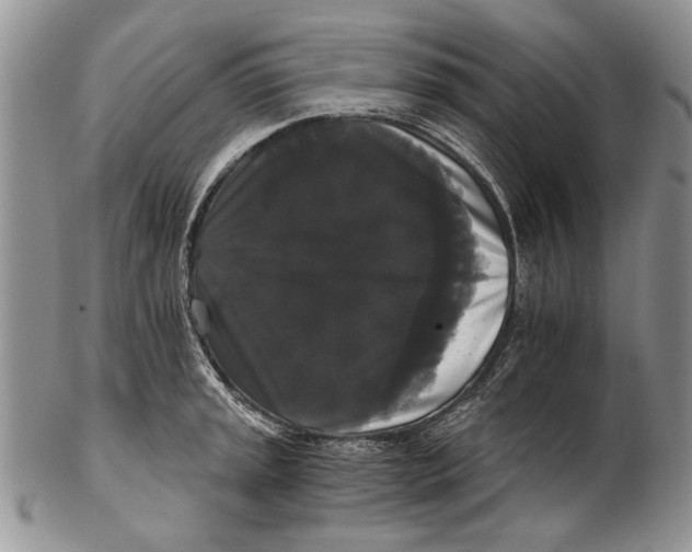 X0000102241045200808221326