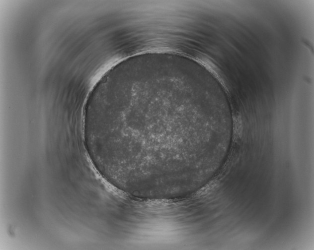 X0000102241046200808221326