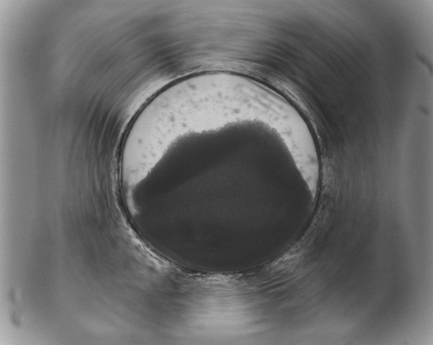 X0000102241048200808221326