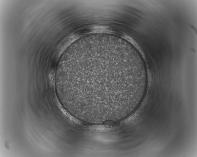 X0000102241049200808221326