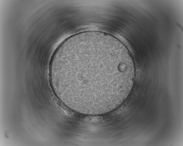 X0000102241051200808221326