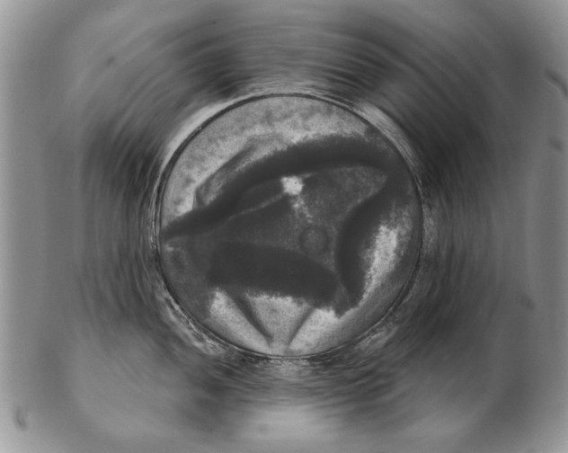 X0000102241052200808221326