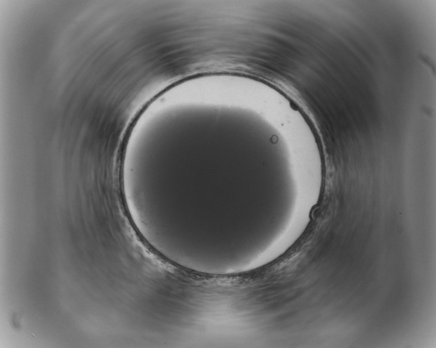 X0000102241053200808221326