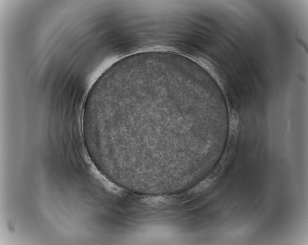 X0000102241054200808221326