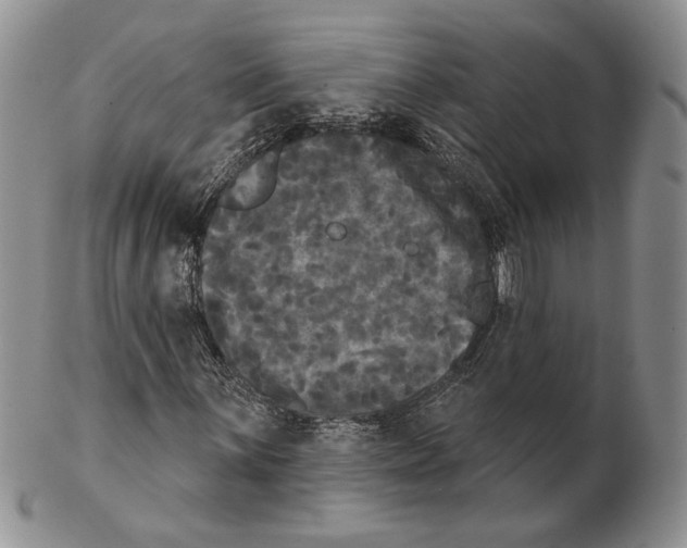 X0000102241059200808221325