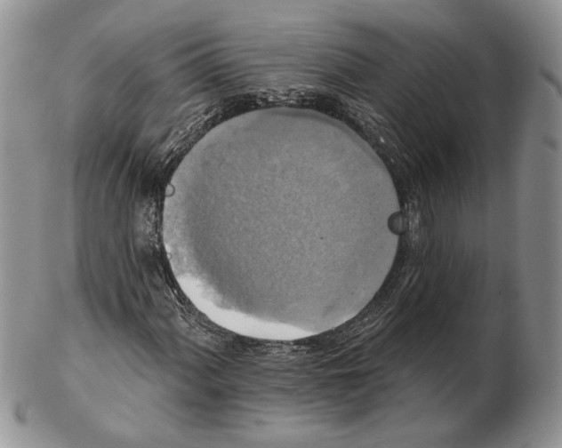 X0000102241060200808221325