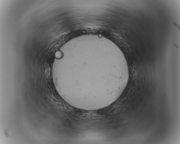 X0000102241061200808221325