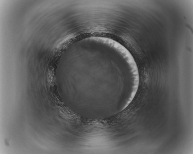 X0000102241063200808221325