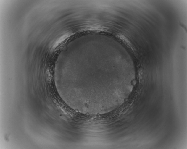 X0000102241064200808221325