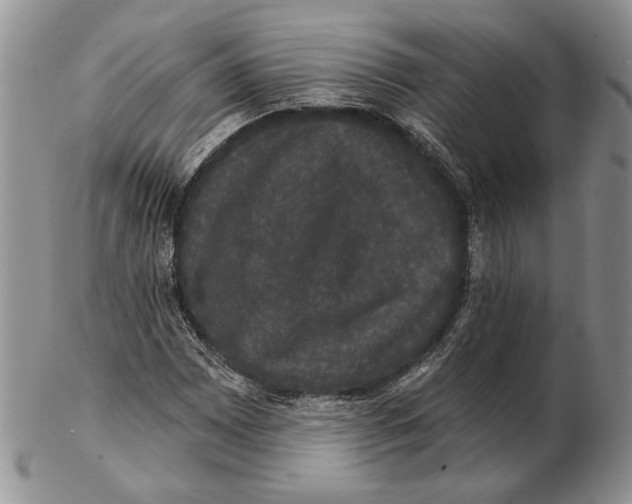 X0000102241065200808221325