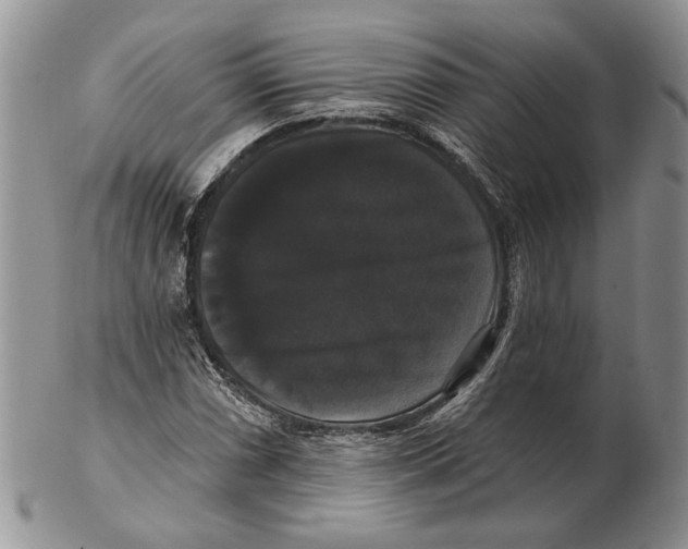 X0000102241066200808221325