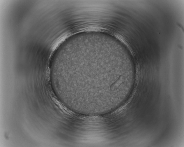 X0000102241067200808221325