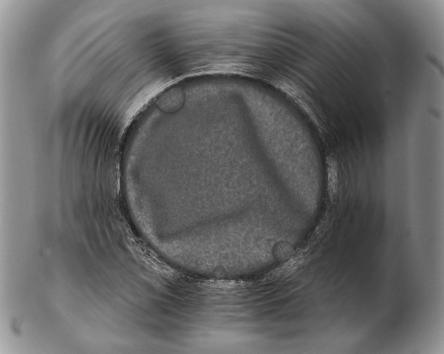 X0000102241069200808221325